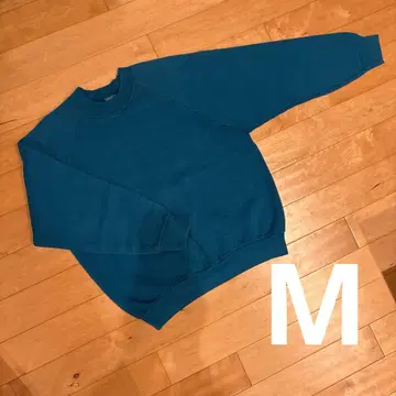 새상품급 90s USA제 프룻 오브 더 룸 래글런 맨투맨 터콰이즈