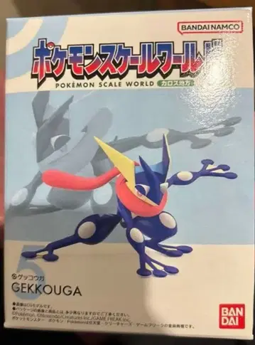 포켓몬 스케일 월드 개코인식