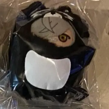 crazy raccoon CR FRIENDS 달마이즈갓