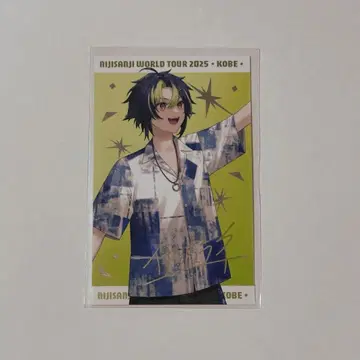 니지산지 이나미 라이 고베 공연 폴라로이드 레어