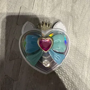 샤이니 캐츠 팩트