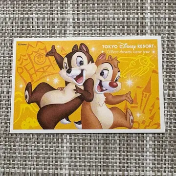 오리엔탈랜드 디즈니랜드 디즈니씨 주주 우대