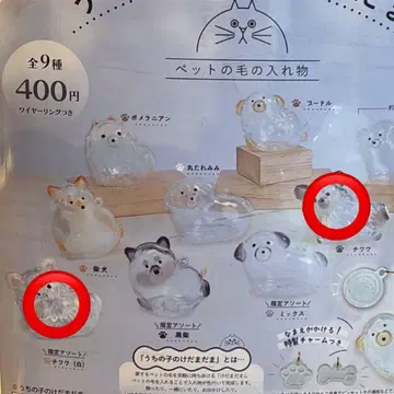 우리 집 털뭉치 강아지 치와와 블랙 화이트 2개 세트 한정판 모듬