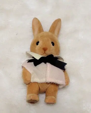 테디베어 스토리 토끼 봉제 인형