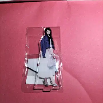 노기자카46 야다 모에카 [ 아크릴 스탠드 D ]