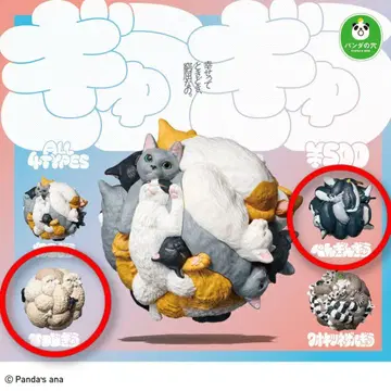 팬더의 구멍 꽉꽉 2종류 세트