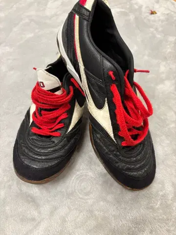 풋살화 모레리아