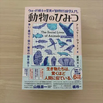 동물의 비밀 워드 박사