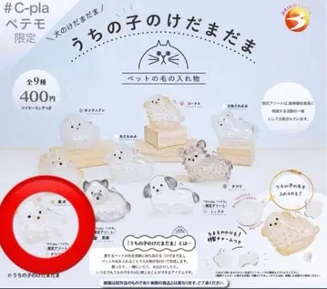 우리 아이 털뭉치 한정판 모듬 치와와 화이트