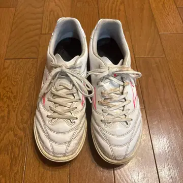 미즈노 모나르시다 neo 24cm 트레이닝화