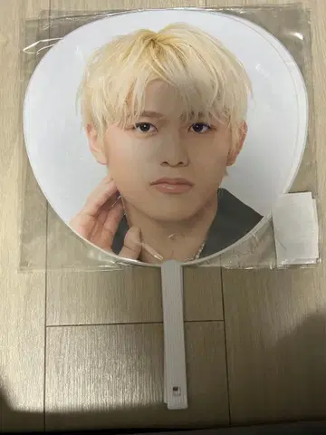 timelesz 시노즈카 다이키 부채