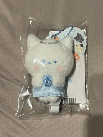 운니니 제로니 봉제 인형 천사 엔젤 zb1 제베원