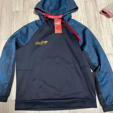 롤링스 그레이 샤스파이크 니트 후드티 셔츠 AOS13F07