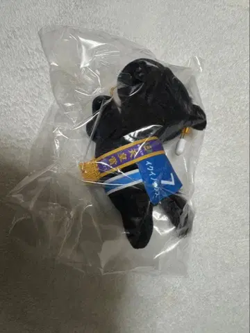 다이토 복권 이크노익스