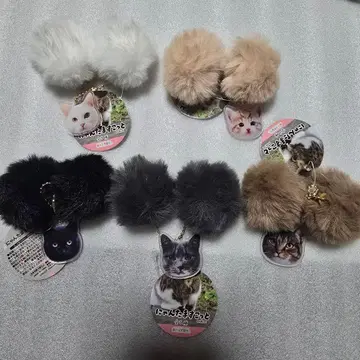 새상품 택 포함 냥타마 스코트 전 5종 세트 컴프