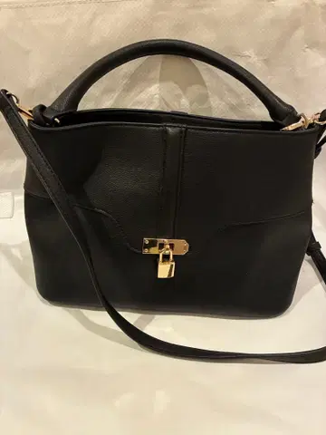 스나이델 골드 금장 장식 2way 백