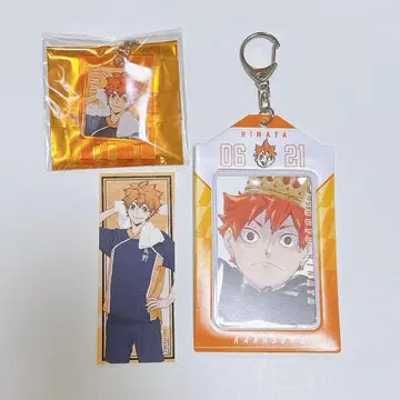 하이큐!! 히나타 쇼요 세트