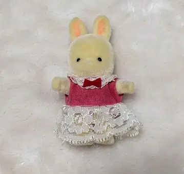 3학년 2반 친구들 토끼 일리