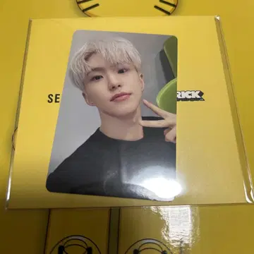 SEVENTEEN 베어브릭 호시 트레이딩 카드