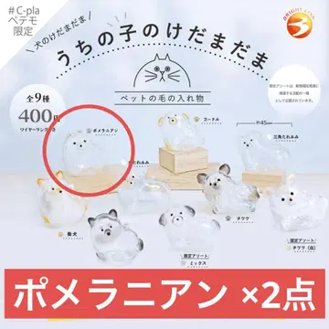 [ 정품 ] 우리 집 강아지 털뭉치 개 포메라니안 2개