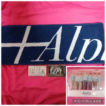 나니와단시 Alpha 타월