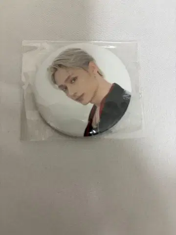 SEVENTEEN DREAM 캔뱃지 준