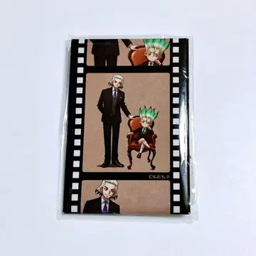 Dr.STONE 이시가미 센쿠 벌스데이 2024 캔뱃지 이시가미 효야