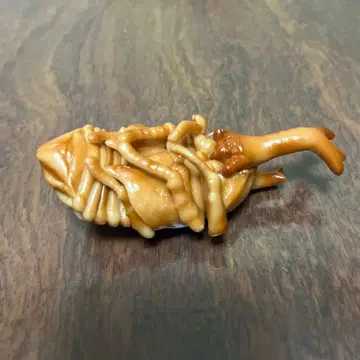 생물대도감 번데기 피규어