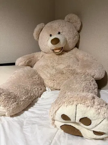 커다란 베이지색 곰 봉제 인형 코스트코