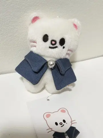 [익명 배송] skzoo's 지니레트 10cm