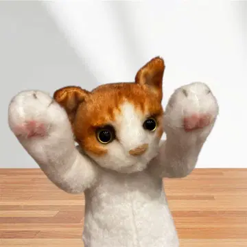 터치 Zoo 냥코 8 봉제 인형 브라운 화이트