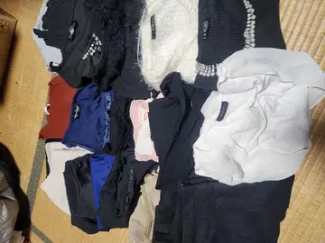 여성용 의류 20벌 의류 상자 1