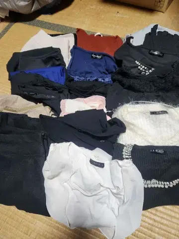 여성용 의류 20벌 의류 상자 1