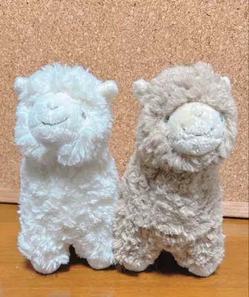 Afternoon Tea 알파카 봉제 인형 페어