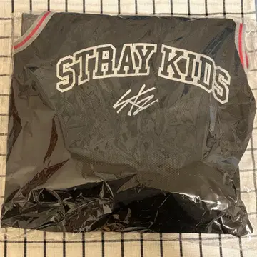 straykids 스키즈 dominate 에코파 업그레이드 굿즈