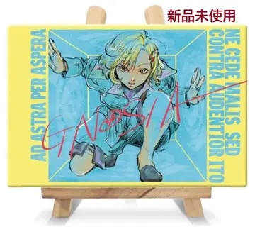 새상품 그노시아 세츠 캐릭터 파인보드 캔버스보드 Amazon 한정판