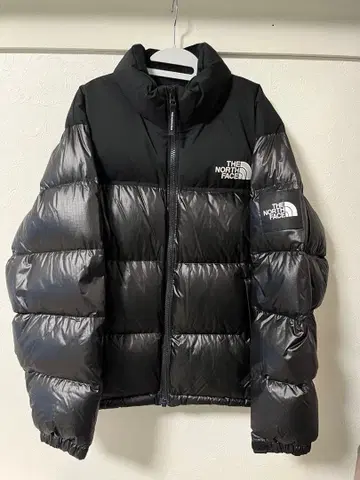THE NORTH FACE / 화이트 라벨 / 다운 자켓 눕시 / L