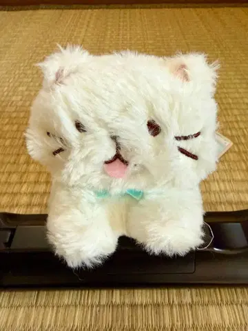 하핀즈 복슬복슬 냥코 뒹굴냥 봉제 인형 시로타마