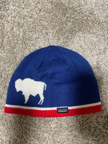 patagonia 바이슨 니트 모자 ONE SIZE