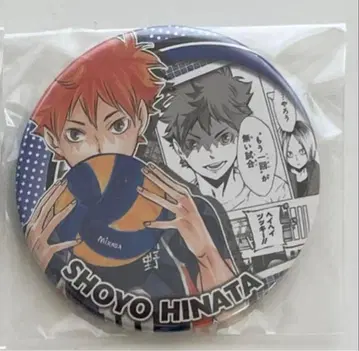 하이큐 히나타 쇼요 캔뱃지 컬렉션 HEROES