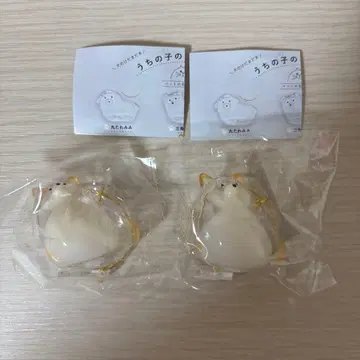 우리 집 강아지 털뭉치 개 시바견