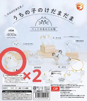 우리 아이의 털 관리 시바견