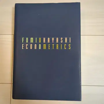 Fumio Hayashi Econometrics