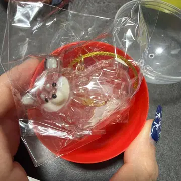 우리 집 강아지 털뭉치 개 치와와