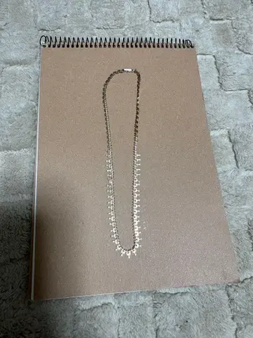 체인 목걸이 플라티나 850 각인