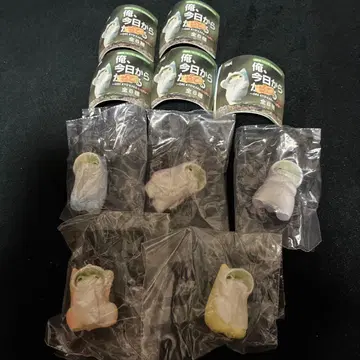 나, 오늘부터 고양이 5점 가챠