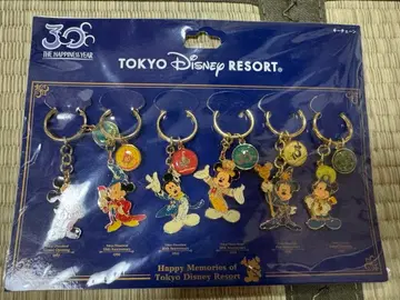 디즈니랜드 30주년 키링