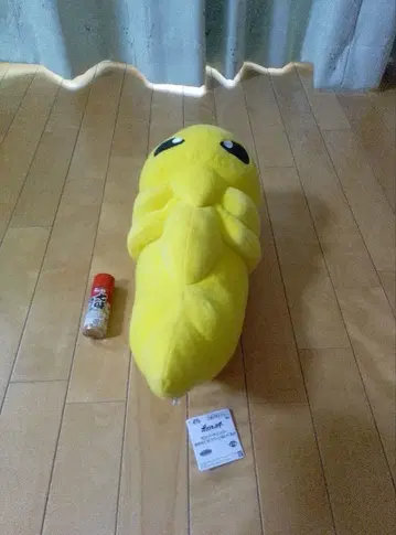 포켓몬 코쿤 봉제 인형