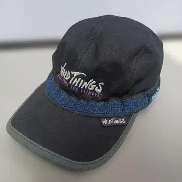레어 WILD THINGS x KAVU 캡