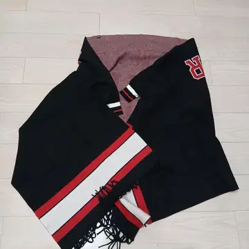 HYSTERIC GLAMOUR 프린지 부착 케이프